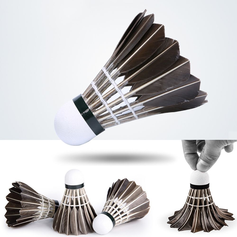 Badminton Nylon Shuttlecock - الريشة المهنية الريشة الريشة السوداء أوزة